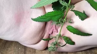Labia torture with nettles... - wide spread legs