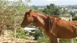 Blonde Babe Peggs a Massive Guy with Tight Asshole Outside