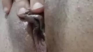 Preening at Treefrog