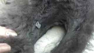 Stepmother: Strong Foot Smell in Fur Boots! Sniffing Feet and JOI Lady Vicotria Valente