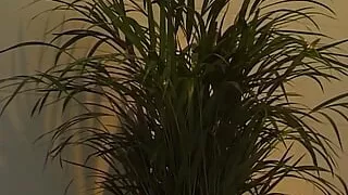 I get fucked hard in the bathroom by a big hard cock