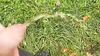 Outdoor piss