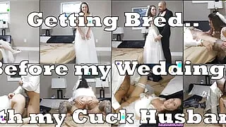 Getting Bred by My Bull on My Cuck Wedding Night