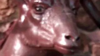 Cheating husband gives the busty blonde an outdoor anal pounding that she will always remember