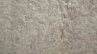 Mother in law is willing to give her vagina to be fucked by her son in law easily