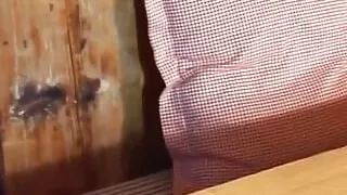 Pretty German brunette rides dick in the log cabin