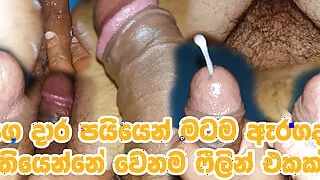 Self Fucking Video in Sri Lankan Big penis Young man on the room bed not someone in home