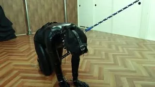 Ordinary Girl in Bitch Training