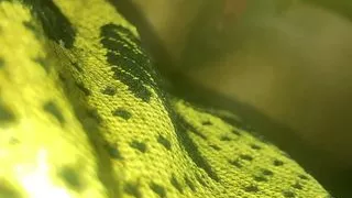 Tiyana Fucked Hard  Missionary On Bed By Boss