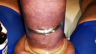 Request for Tony Boy 2