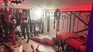 Hot drips on cock and balls - Intense waxing harem - Mistress Zeida Cluj Napoca Mistress BDSM