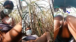 bhabhi ko khet me bulakar chudai kiya