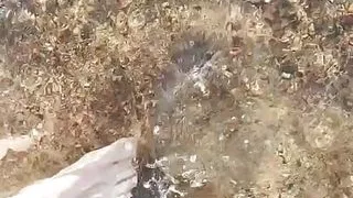 notfallenangel video