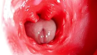 This beautiful pussy is pulsating and squeezing my cock! Camera inside the hole!