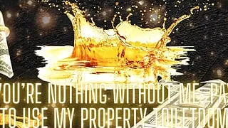 You're Nothing Without Me - Pay to Use My Property Toiletdom