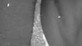 Anal and a Tit Fuck With Huge Boobs Plumper, Fat Cock Pounds Her Pussy After Awesome Titjobs by Mature BBW Lady