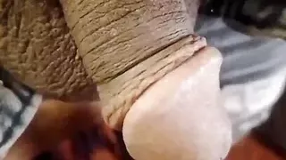 Dekho kaise land hilakar le liye poore maze jab room me khud ke lund ko dekhna to wo apne hath se hi hilaane laga