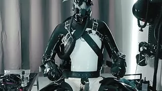 Rubber Pup Bound (pp Training)