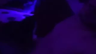 The Buddy Dude Suck My Dick in a Blue Light Room