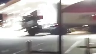 Little Rabbit to the Wide World