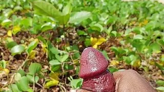 Cut Cock cumshot at beach oil massage Sinhala boy with cock ring srilanka