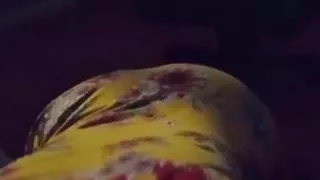 Aunty Have a Birthday Surprise for Me