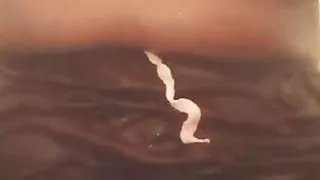 Asian Women Dirty Veena Fucking in bathroom Sex