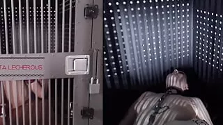 Caged & Isolated - Resting Timelapse