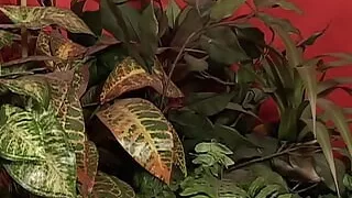 Porn Workroom Part #4 - Fully remastered in HD