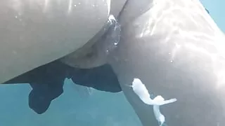 Underwater creampie while swimming after cum inside pussy