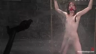 Arachnia Webb - Kink