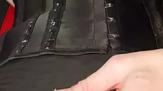 Cute puppy in corset