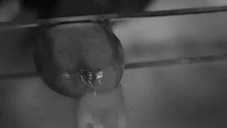 Relaxation Glass Time and SlowMo Precum and Cum