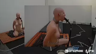 Livecam 01-23-2018 Ritual