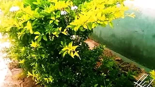 My Great introduction of mine