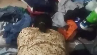 The Neighbor Torments Me