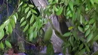 He licked this bitchs pussy very gently but fucked her super nasty asshole very passionately