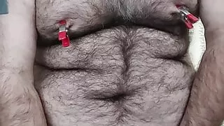 Piggy drinks full piss bottle