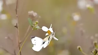 Spent the night in hotel with husband's friend - Sex Story in Bangla