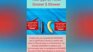 About the Male Penis Tyeps of Penis