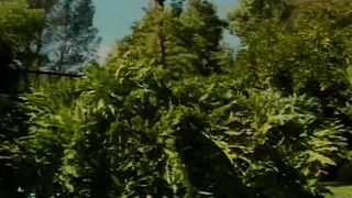 Gorgeous blonde rides big dick by the pool