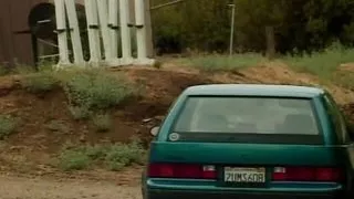 Top-class blonde MILF rides a big dick outdoors