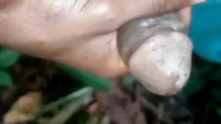 Male female women passy sss