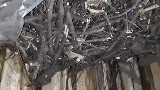 In the Village We Hide From Everyone That We Are Lesbians