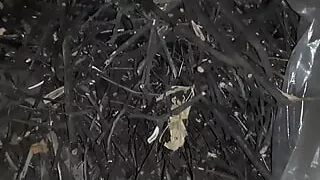 I Hide From Everyone That I Am a Lesbian