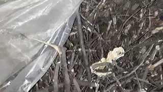 In the village we hide from everyone that we are lesbians