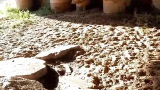 Indian Girl Fulfilling Bet Under the Bridge