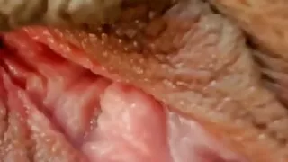 Sister-in-law fingered in discount on video call