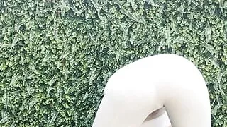 yoga cameltoe leggings without panty