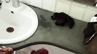 Sex in the public toilet